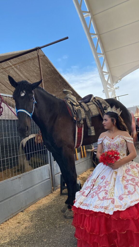 Big Boy, el caballo más grande de México, quien ha robado miradas y corazones en León