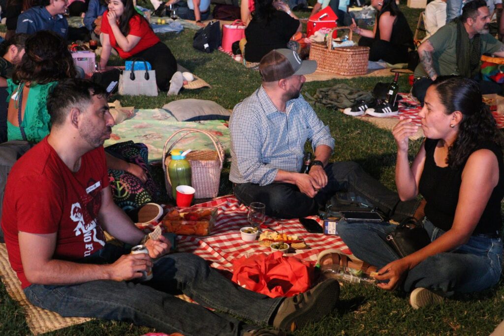 Mantitas, sillas portátiles, parejas románticas y amigos brindando