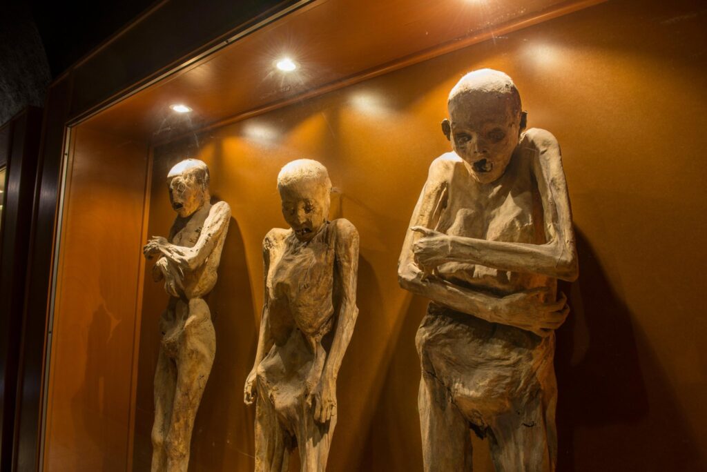 museos