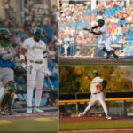 Bravos de León