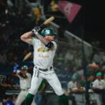 BRAVOS DE LEON