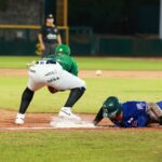 bravos de leon