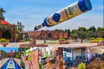La Hacienda Corralejo es famosa por su tequila, siendo pionera en la producción de esta bebida fuera de Jalisco. Además, alberga el "Museo del Vino y la Botella", considerado el más grande de México, con una colección de alrededor de 3,000 botellas, muchas de las cuales conservan su contenido original.