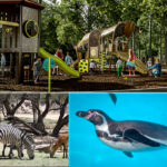 Zoológico de León