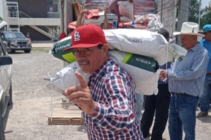semilla