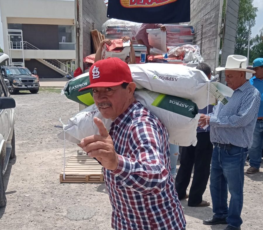 semilla