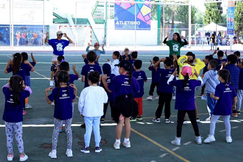curso de verano
