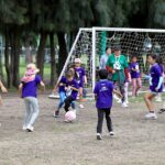 curso de verano