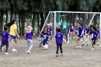 curso de verano