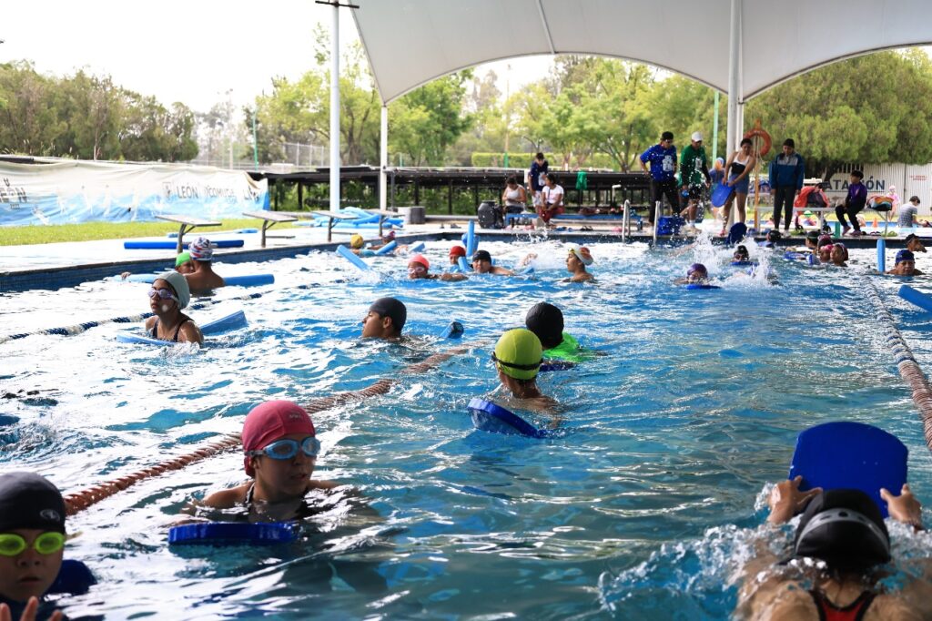 curso de verano