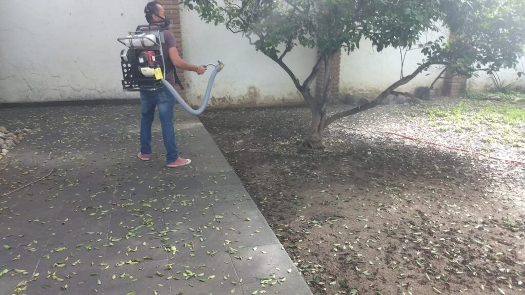 dengue