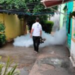 dengue