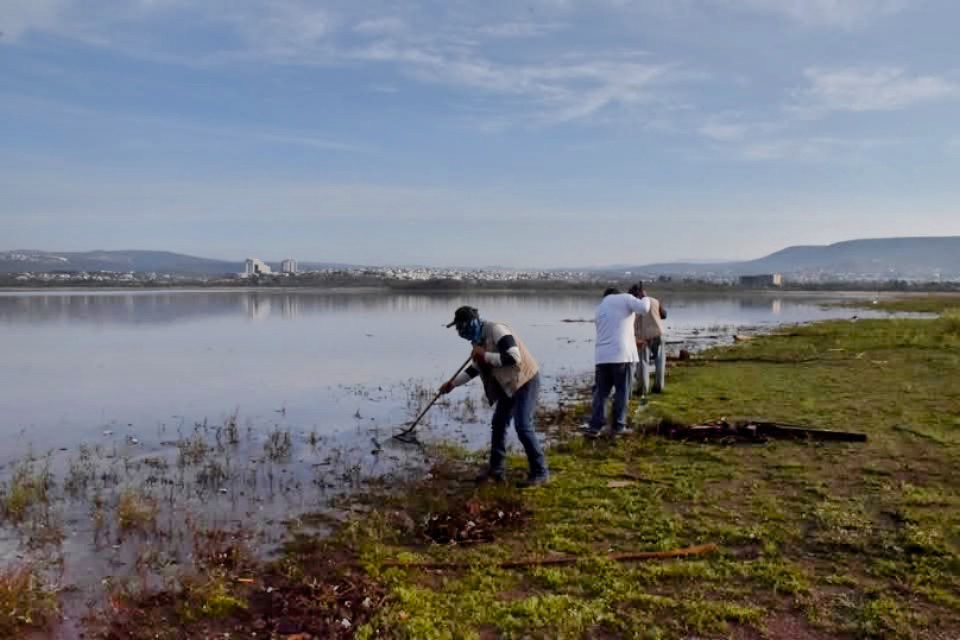 basura