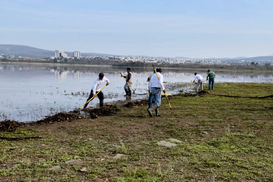 basura