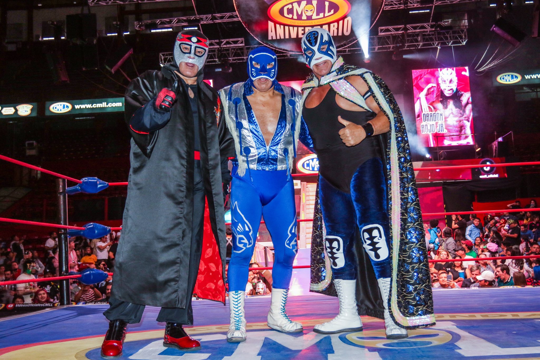 lucha