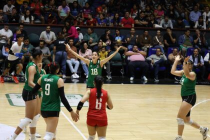 voleibol