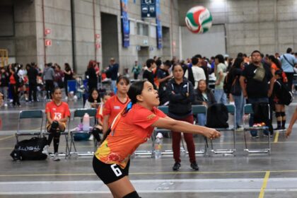 voleibol