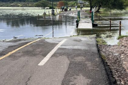Parque Metropolitano