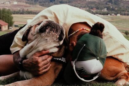 perro