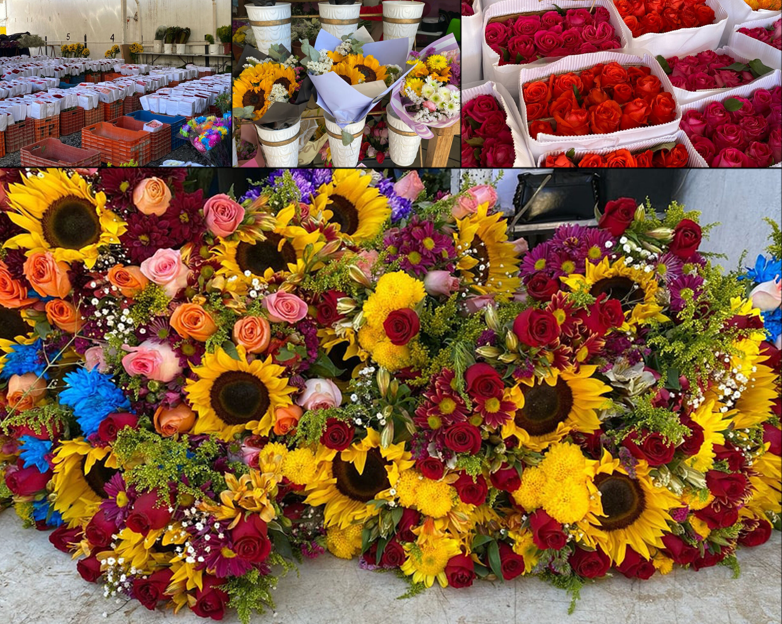 FLORES