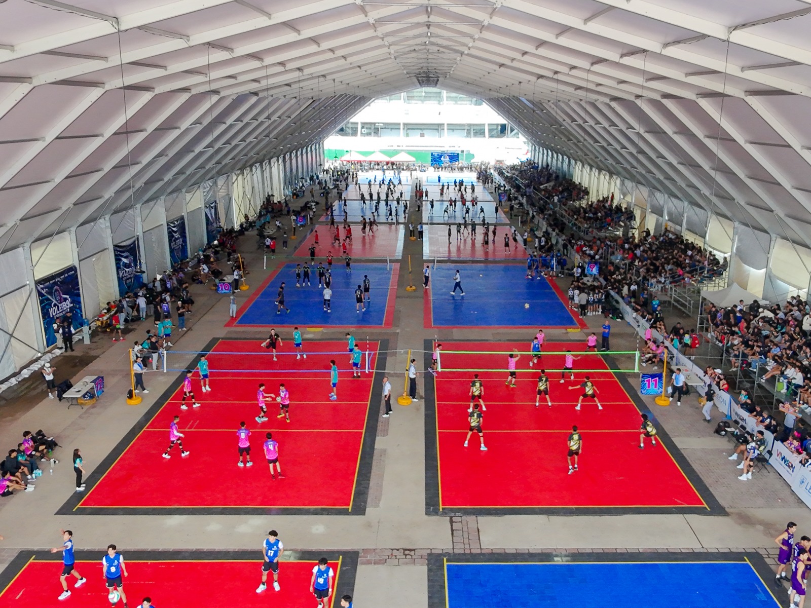 voleibol