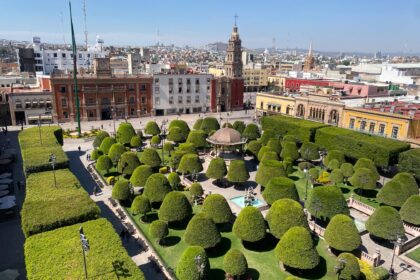 león