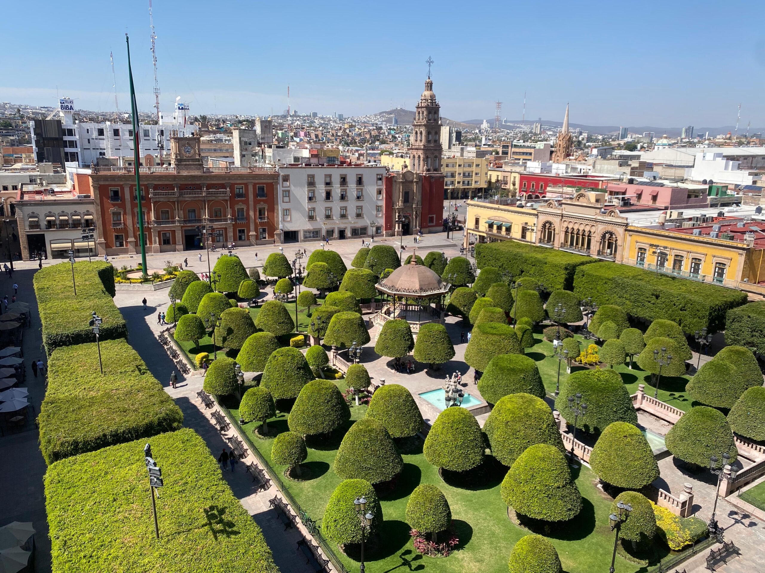 león