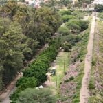 parque