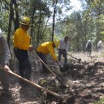 incendios
