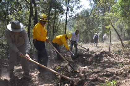 incendios