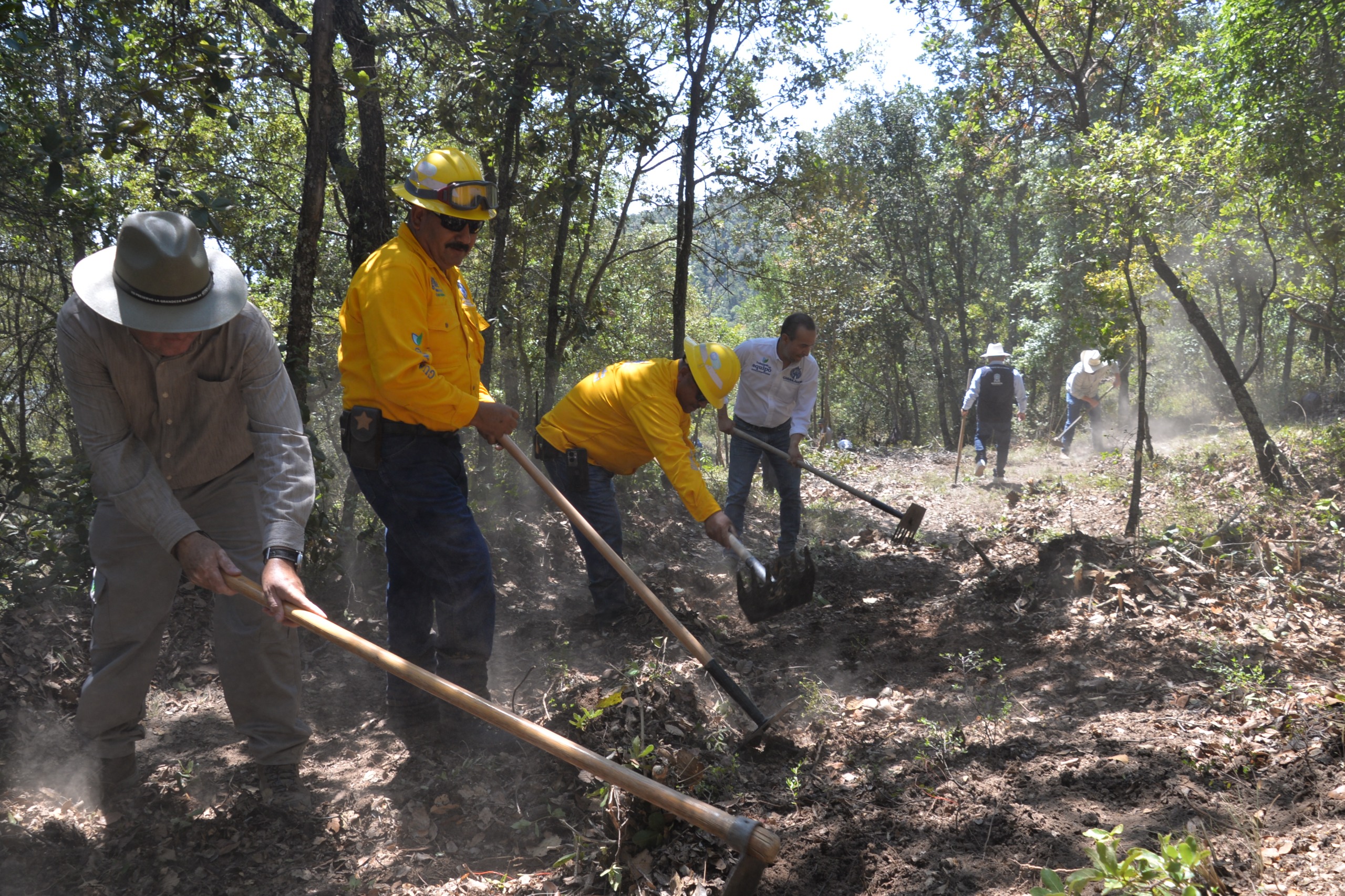 incendios