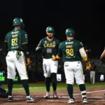 bravos
