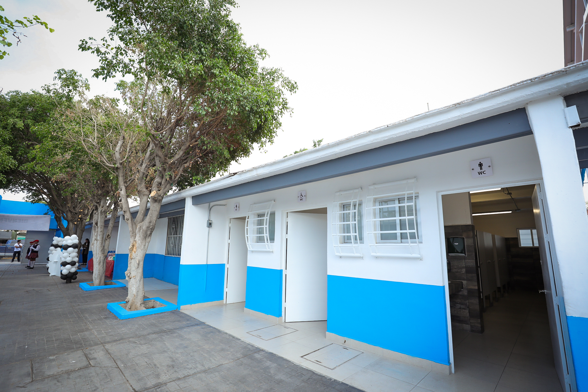 primaria