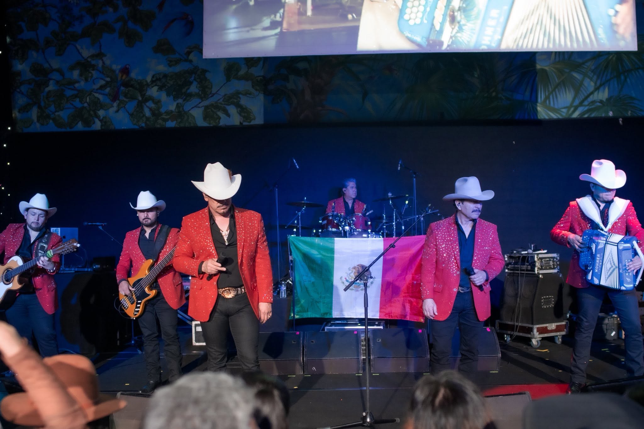 bailazo