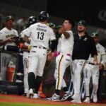 bravos