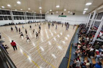 voleibol