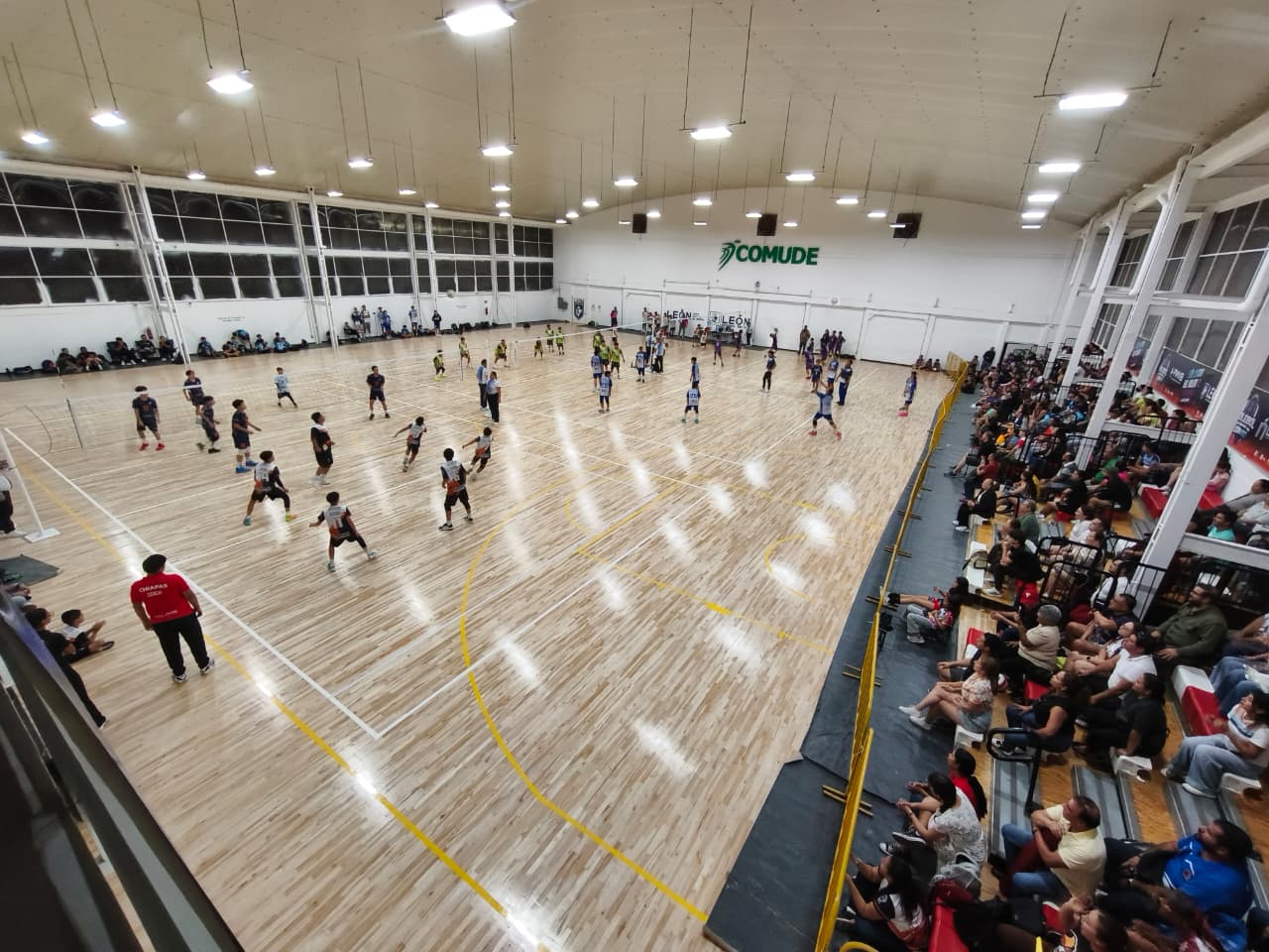 voleibol