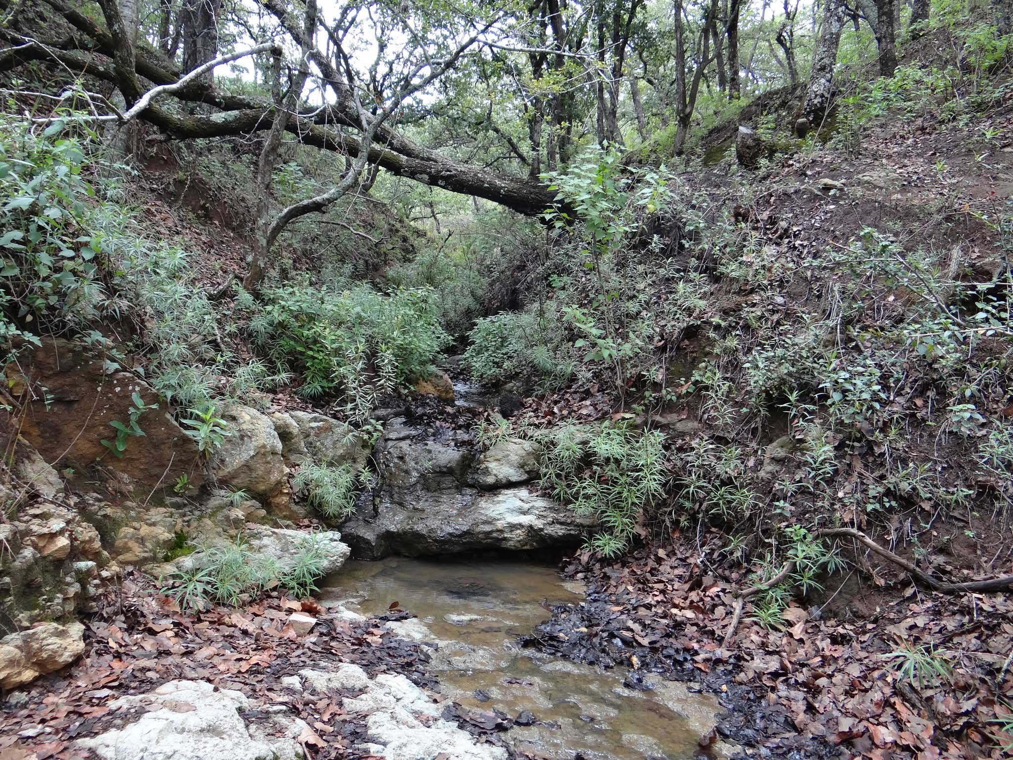 Cuenca de la Esperanza