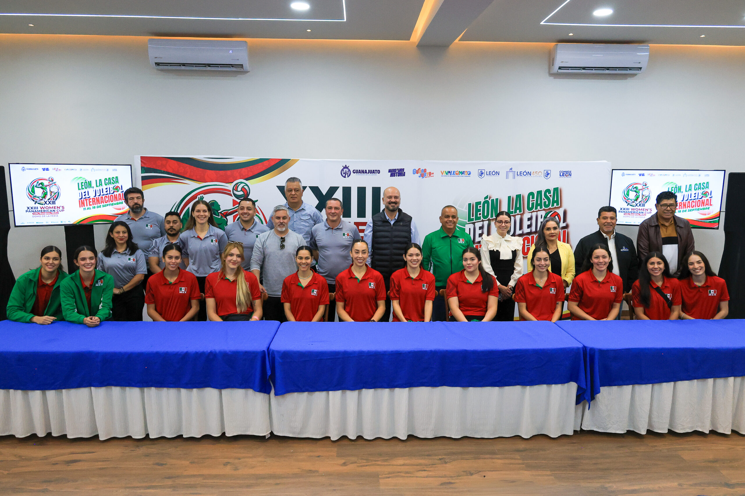 voleibol