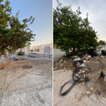basura