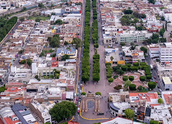 leon